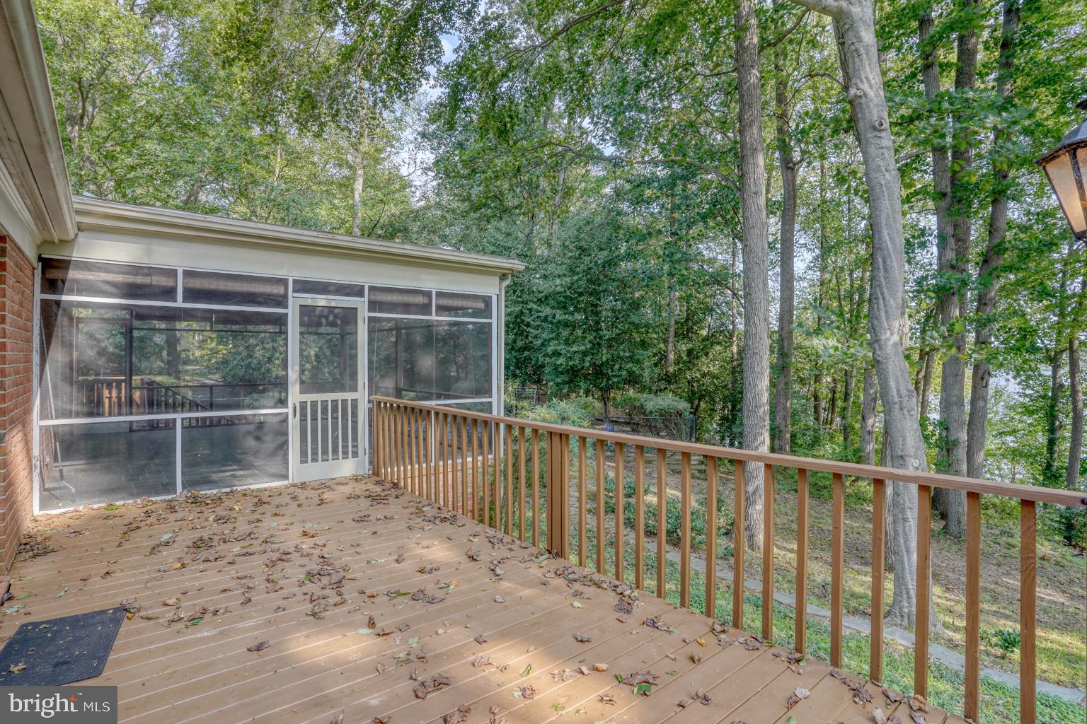 5 Stuart Drive Dover, DE 19901 - Photo 61 of 64 a view of a backyard with floor to ceiling window and wooden fence