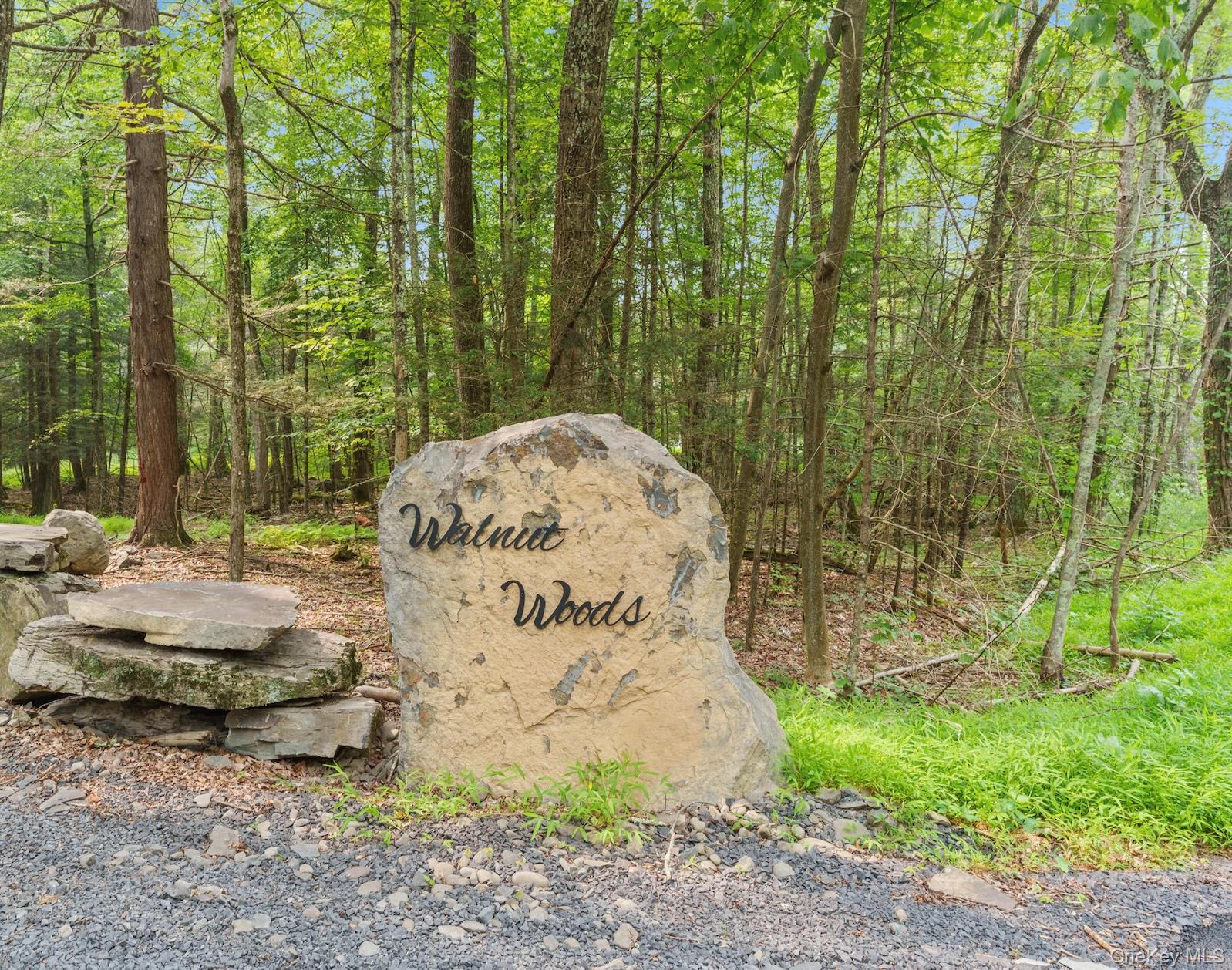 805 Kripplebush Road Accord, NY 12404 - Photo 3 of 30