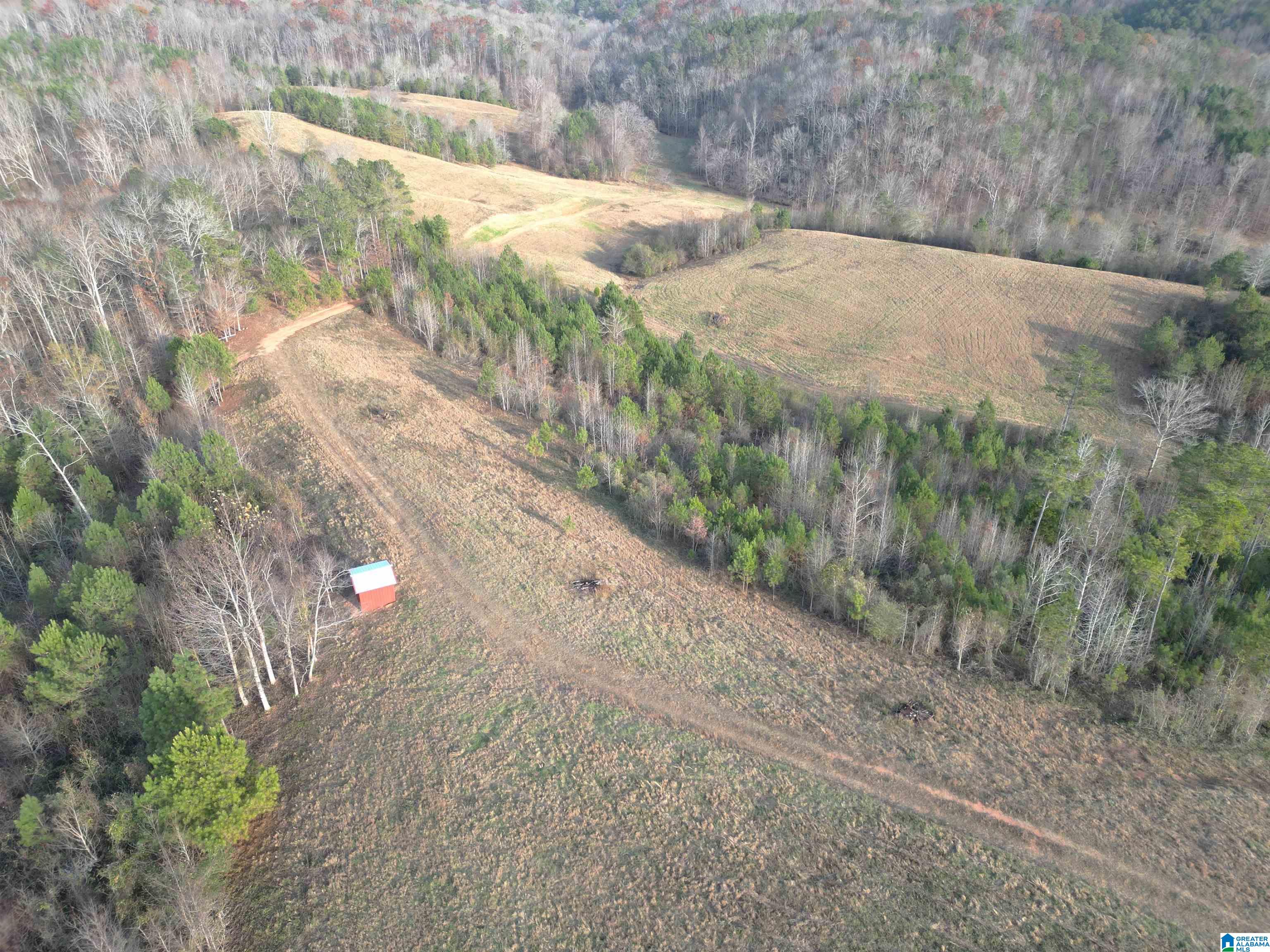 600 Earl Roberts Road, Unit 35 Anniston, AL 36207 - Photo 7 of 59 Gallery Image 7