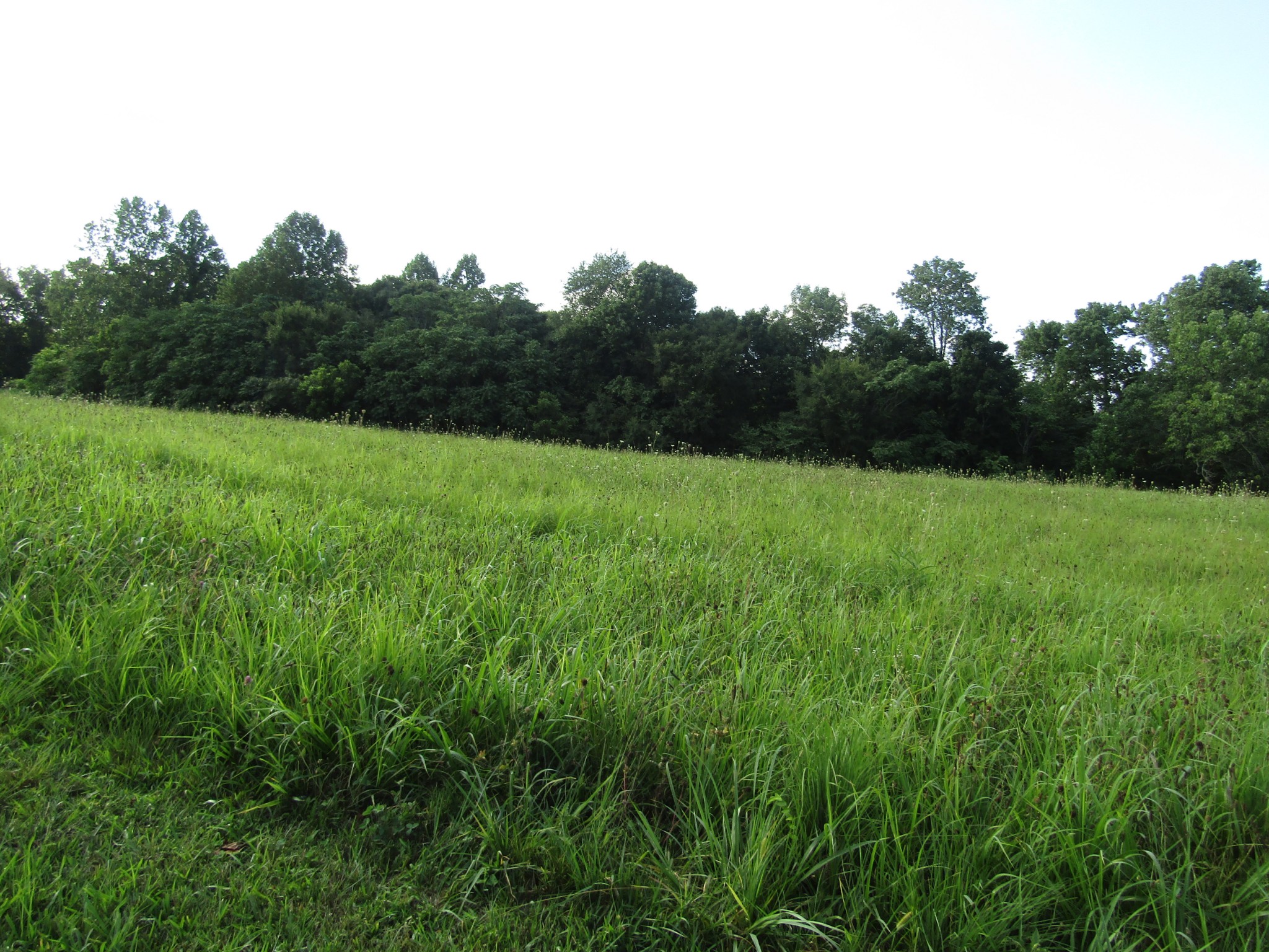 2 Bly Cemetery Road Manchester, TN 37355 - Photo 1 of 1 Gallery Image 1
