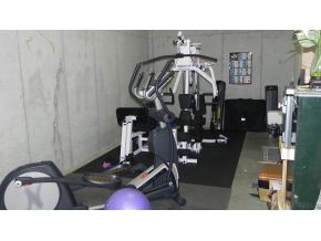 250 Sunset Ridge Court Gray, TN 37615 - Photo 21 of 24 21 Workout Area in Basement