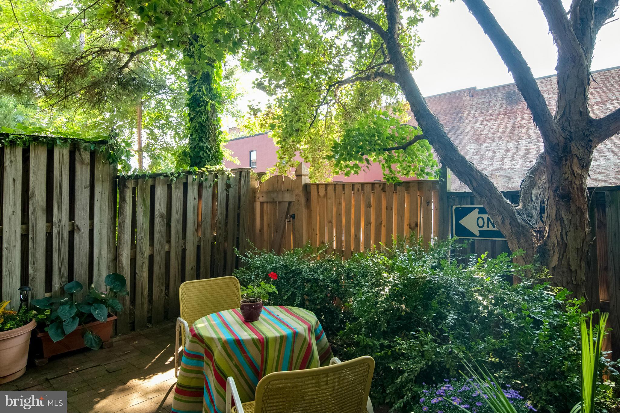 427 George Street Baltimore, MD 21201 - Photo 23 of 27 Backyard privacy fence with gate