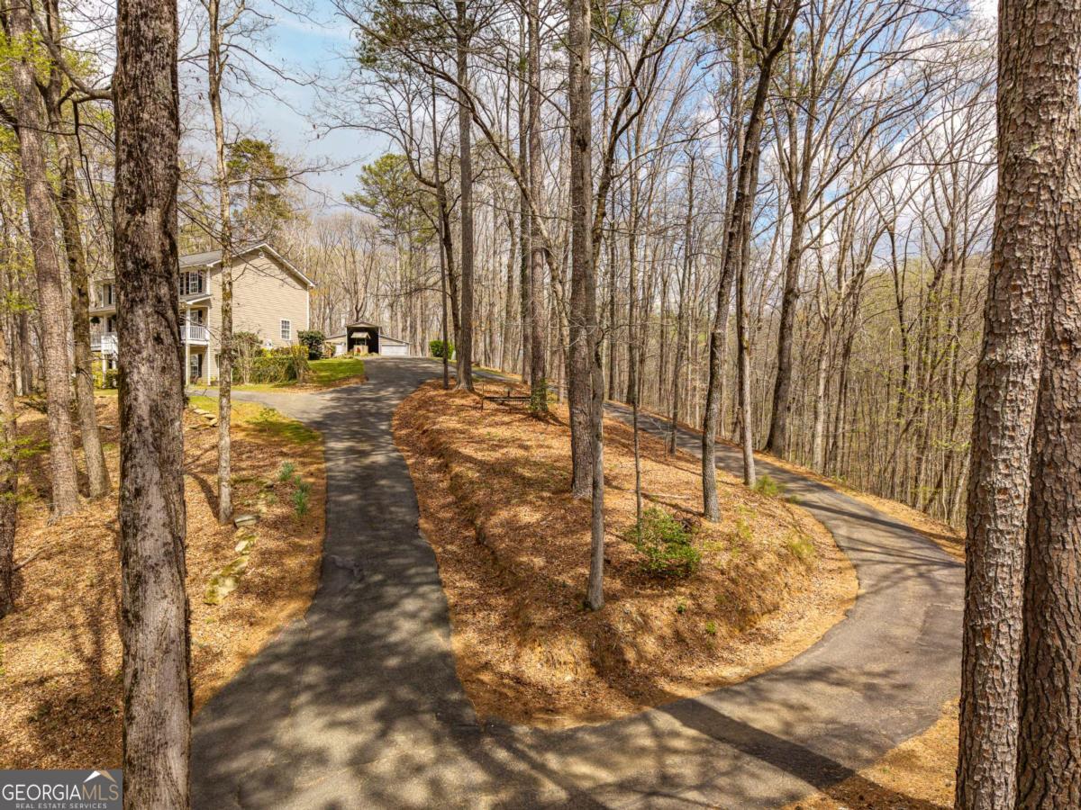 134 Nicholson Lane Talking Rock, GA 30175 - Photo 64 of 72 a view of a yard with snow on the road