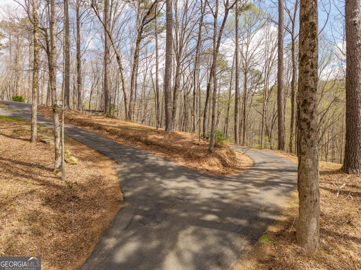 134 Nicholson Lane Talking Rock, GA 30175 - Photo 65 of 72