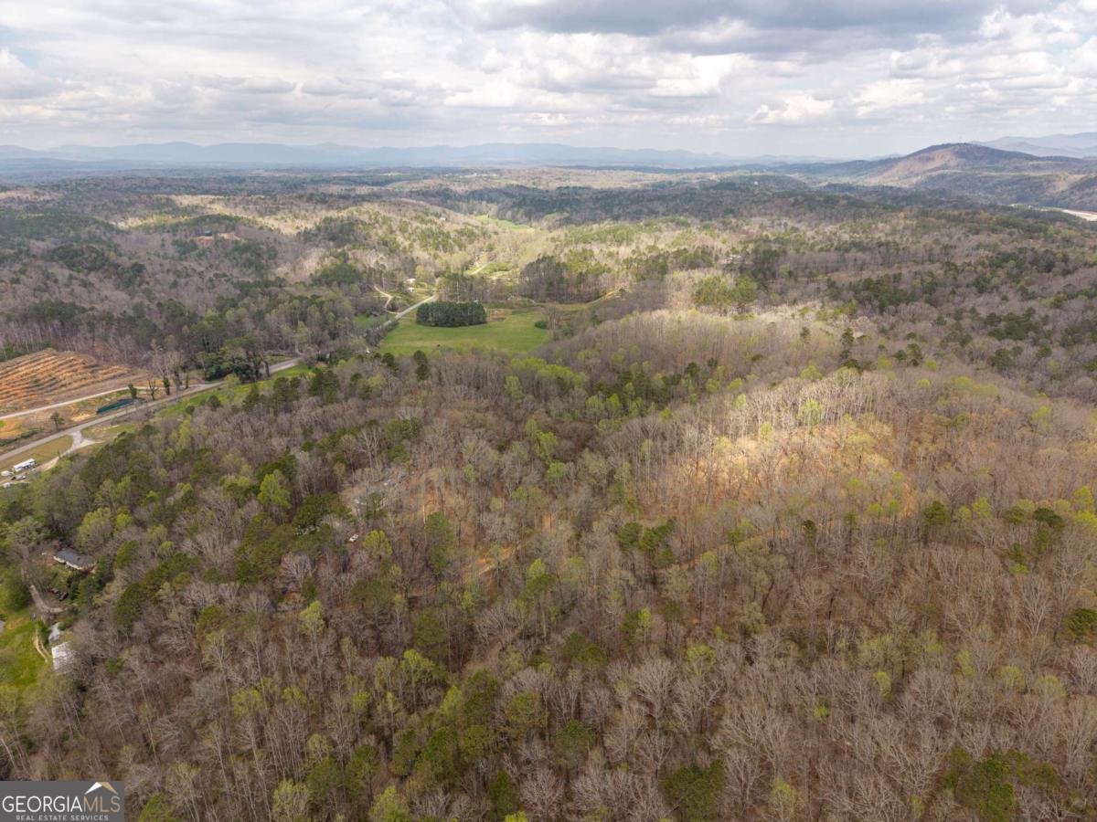 134 Nicholson Lane Talking Rock, GA 30175 - Photo 71 of 72