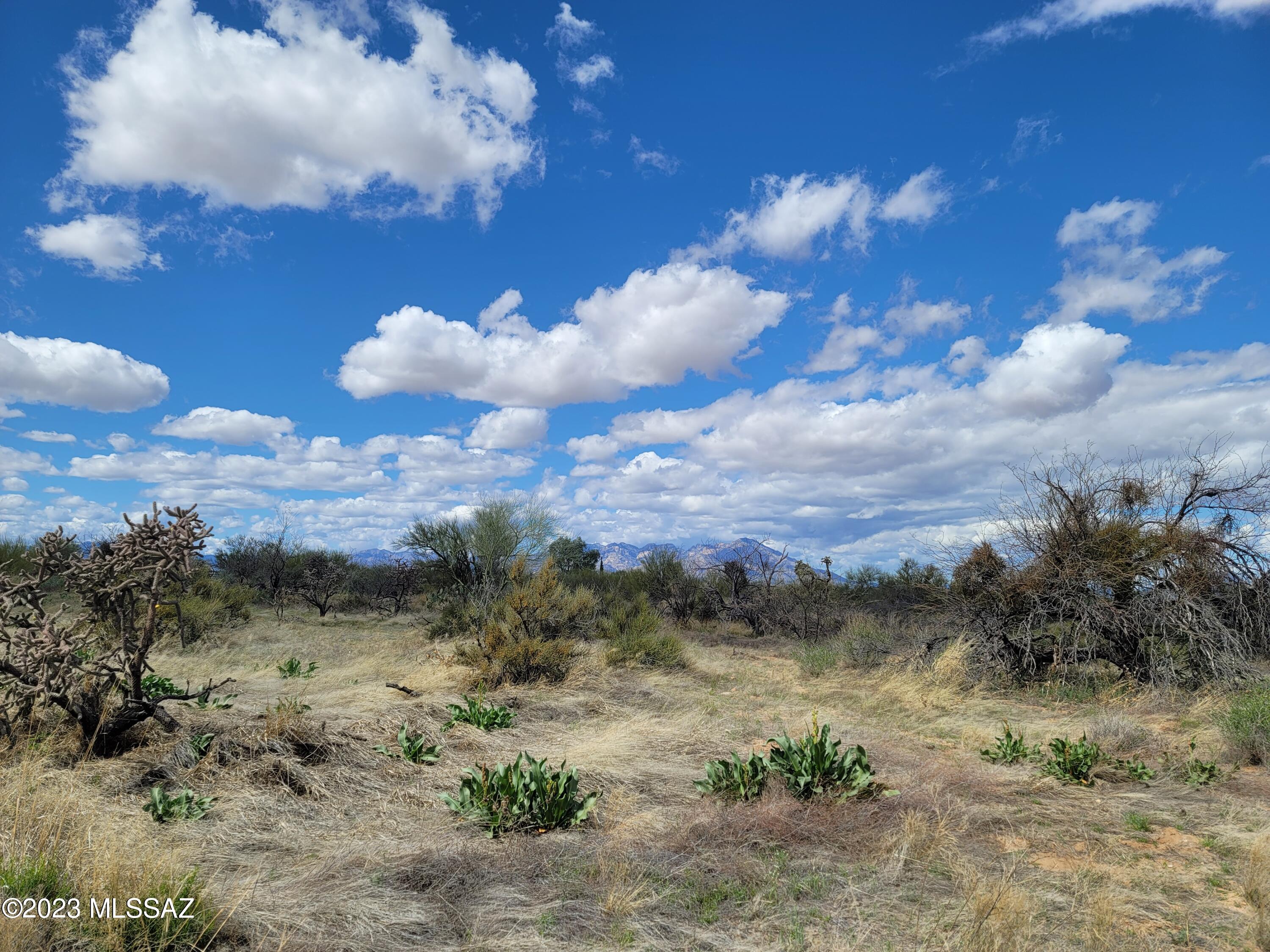 15957 West Diamond Bell Ranch Road, Unit 7 Tucson, AZ 85736 - Photo 1 of 8