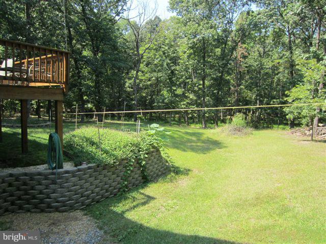 204 White Road Winchester, VA 22602 - Photo 11 of 18 Back yard