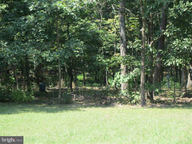 204 White Road Winchester, VA 22602 - Photo 12 of 18 Woods