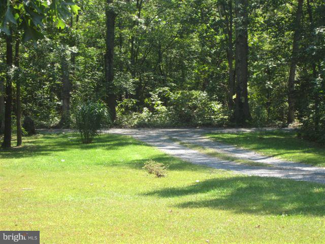204 White Road Winchester, VA 22602 - Photo 13 of 18 Driveway