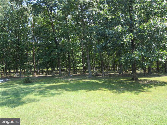 204 White Road Winchester, VA 22602 - Photo 14 of 18 Front yard