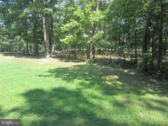 204 White Road Winchester, VA 22602 - Photo 15 of 18 Yard
