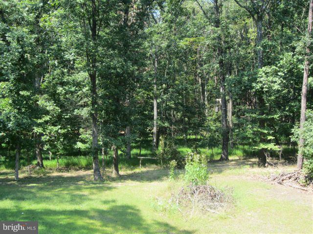 204 White Road Winchester, VA 22602 - Photo 16 of 18 Back yard