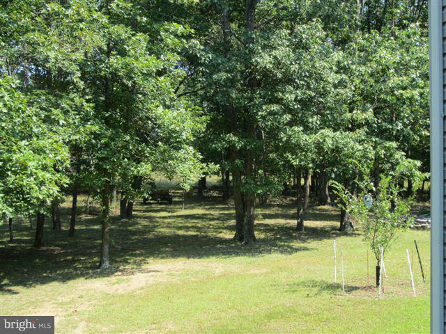 204 White Road Winchester, VA 22602 - Photo 17 of 18 Side yard