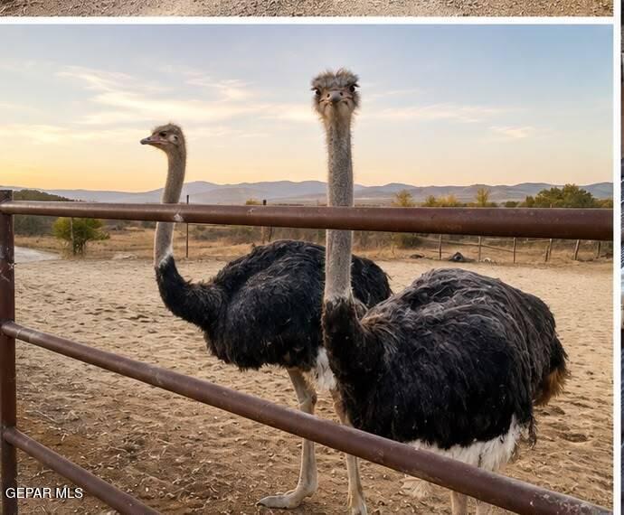 1181 Alvarez Road, Unit 12 Anthony, NM 88021 - Photo 100 of 126 WhatsApp Image 2026-08-20 at 6.17.46 PM