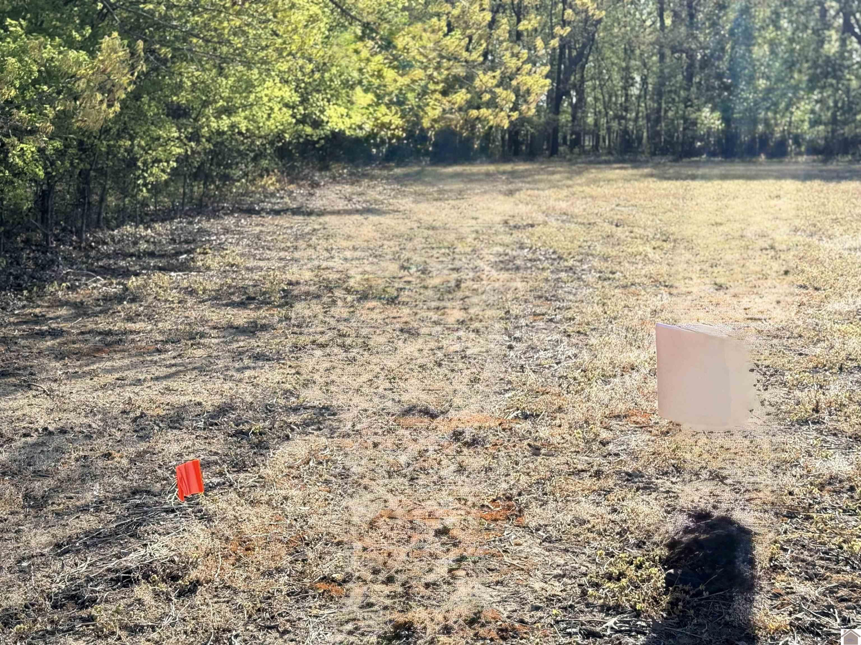 0 Mcdougal Road Murray, KY 42071 - Photo 2 of 3 Photo 2