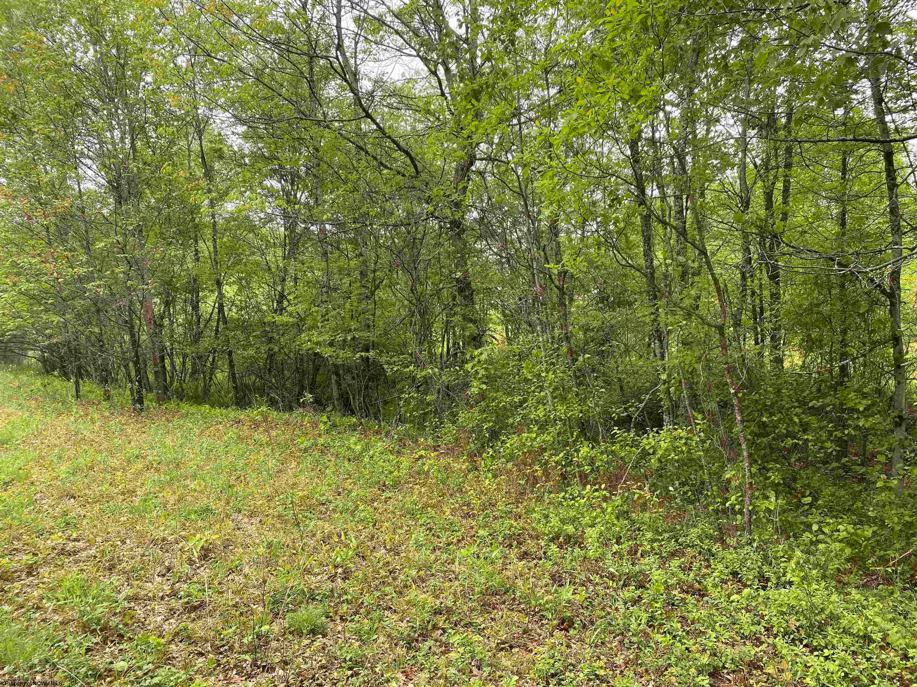 1001 Burner Road Philippi, WV 26416 - Photo 25 of 34 Gallery Image 25