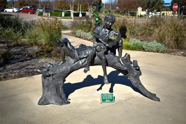 $1,995 | 916 Cedar Terrace, Cedar Hill, TX 75104