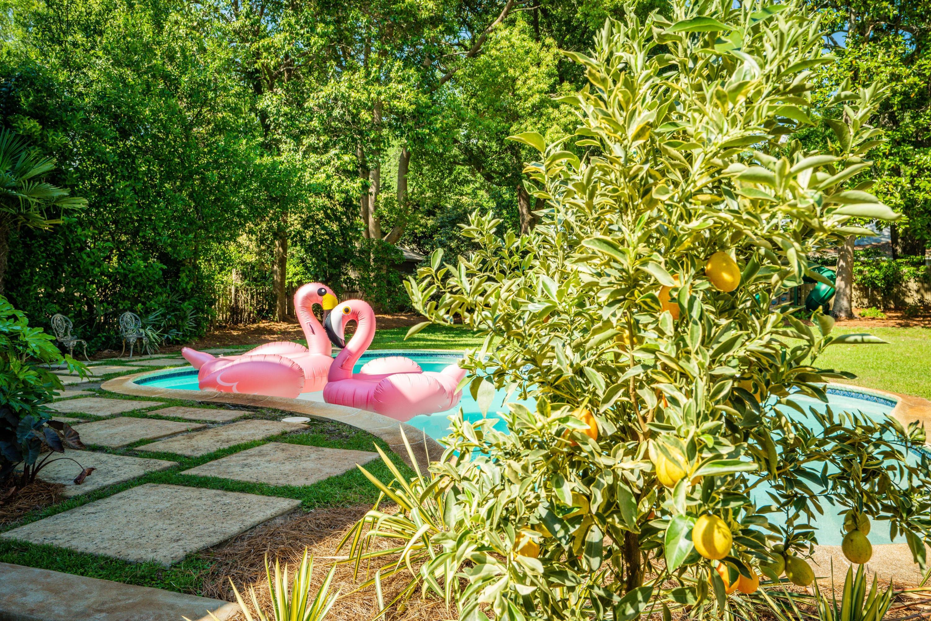 814 Pitt Street Mount Pleasant, SC 29464 - Photo 3 of 41 EllisCreekPhotography-01815
