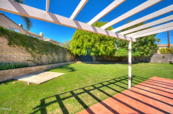 a view of a backyard with plants