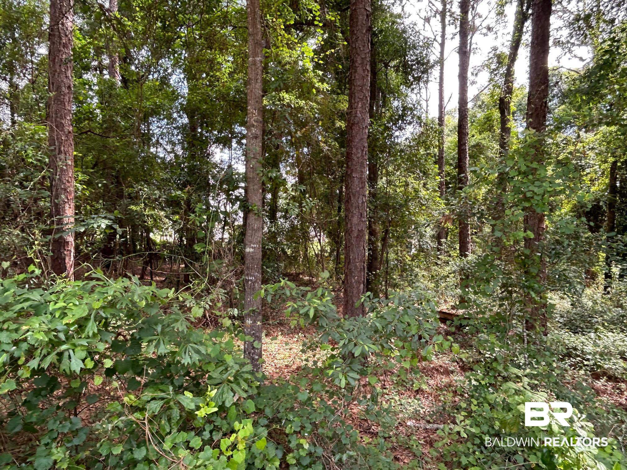 0 Laura Drive Semmes, AL 36575 - Photo 4 of 8 View 4
