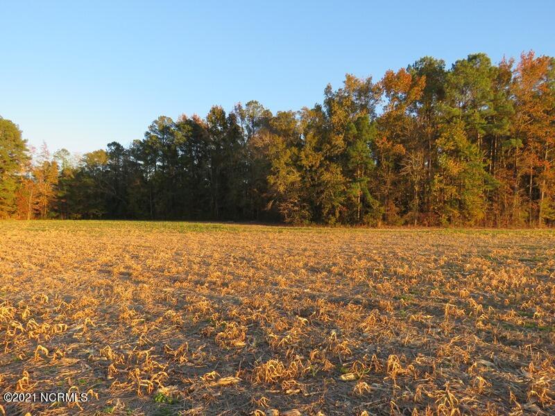 0 Dallas Road Lumberton, NC 28358 - Photo 5 of 5 5