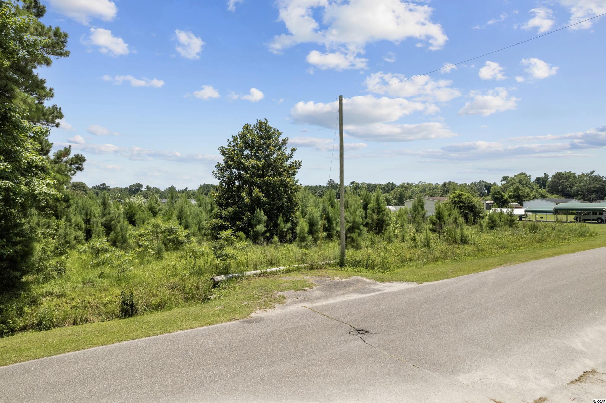 Tbd Old Pireway Road Conway, SC 29526 - Photo 2 of 12