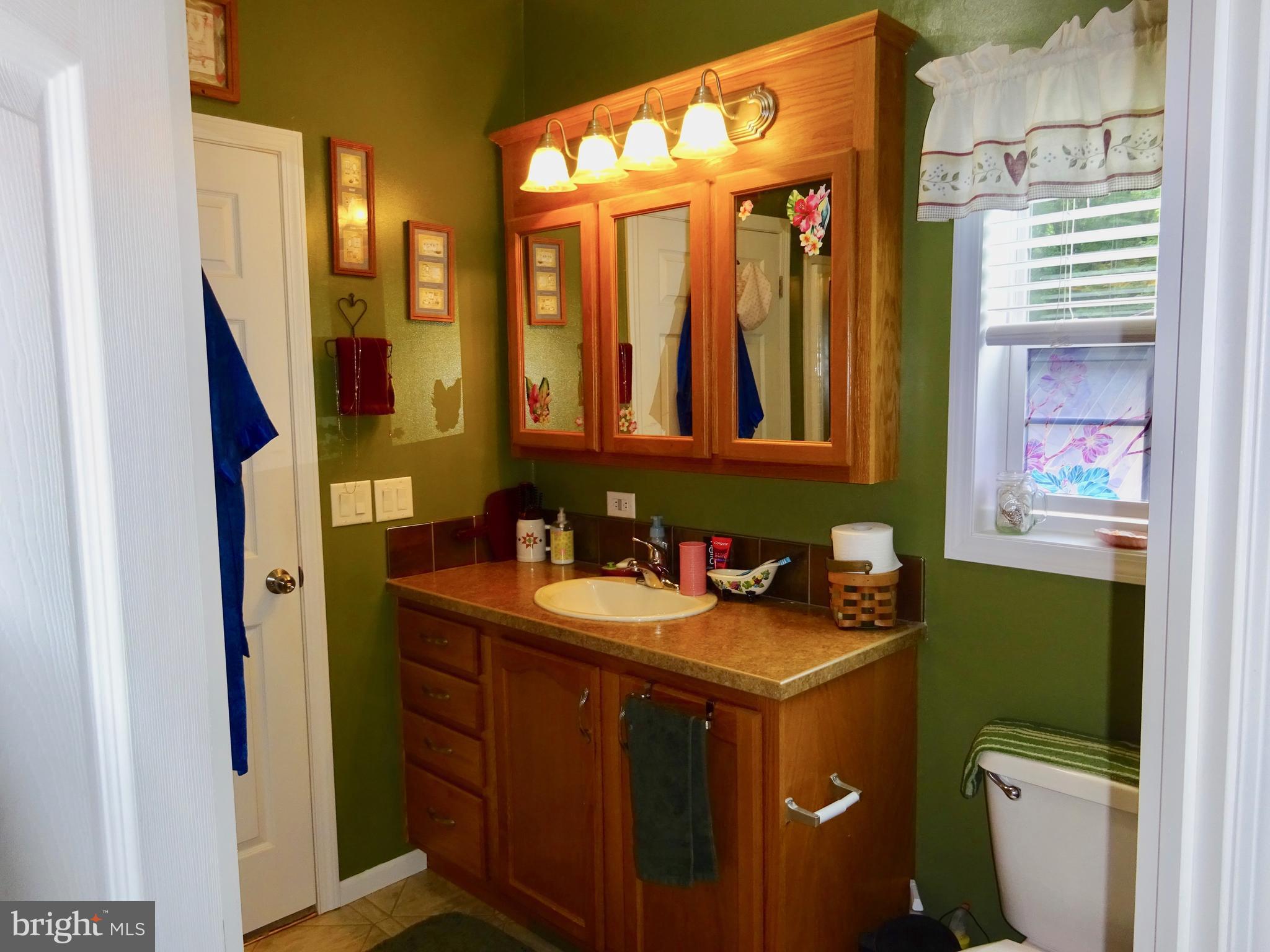 435 Ash Road Morgantown, PA 19543 - Photo 21 of 62 Master Bath