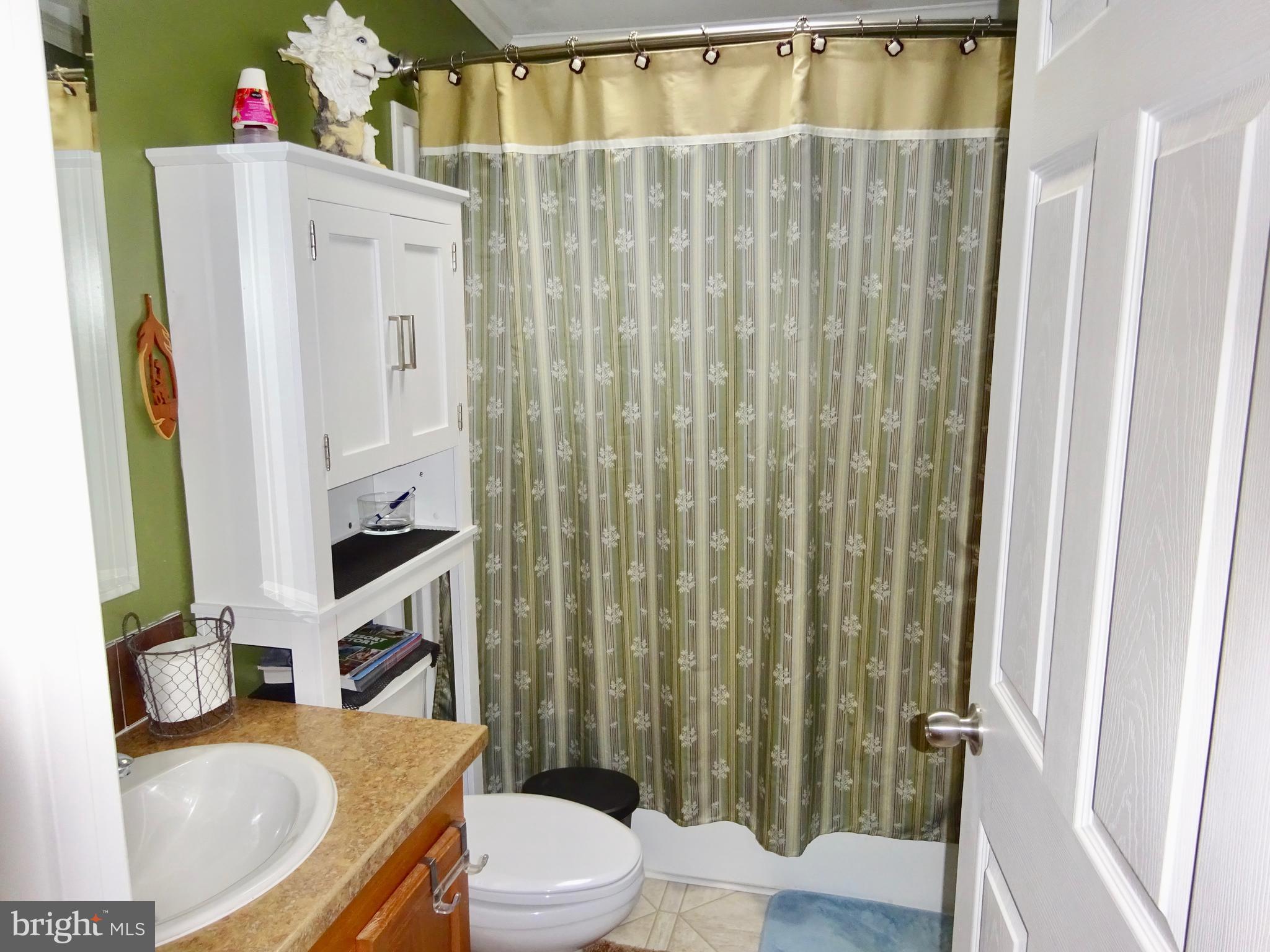 435 Ash Road Morgantown, PA 19543 - Photo 25 of 62 Main Bath