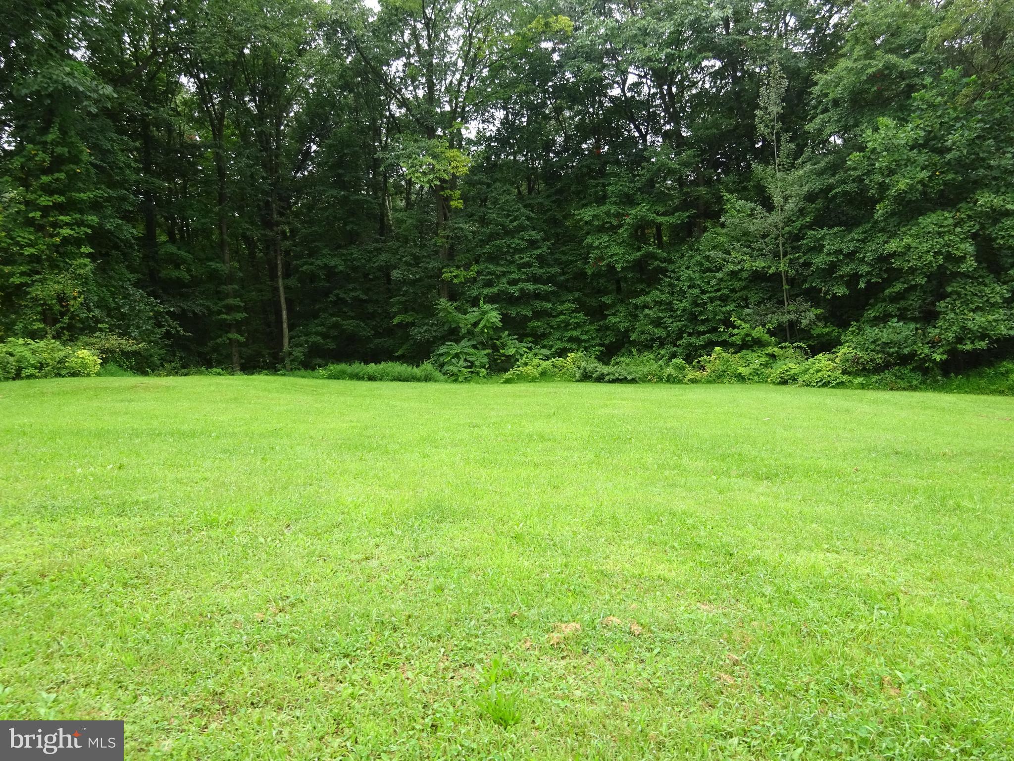 435 Ash Road Morgantown, PA 19543 - Photo 35 of 62 Side yard
