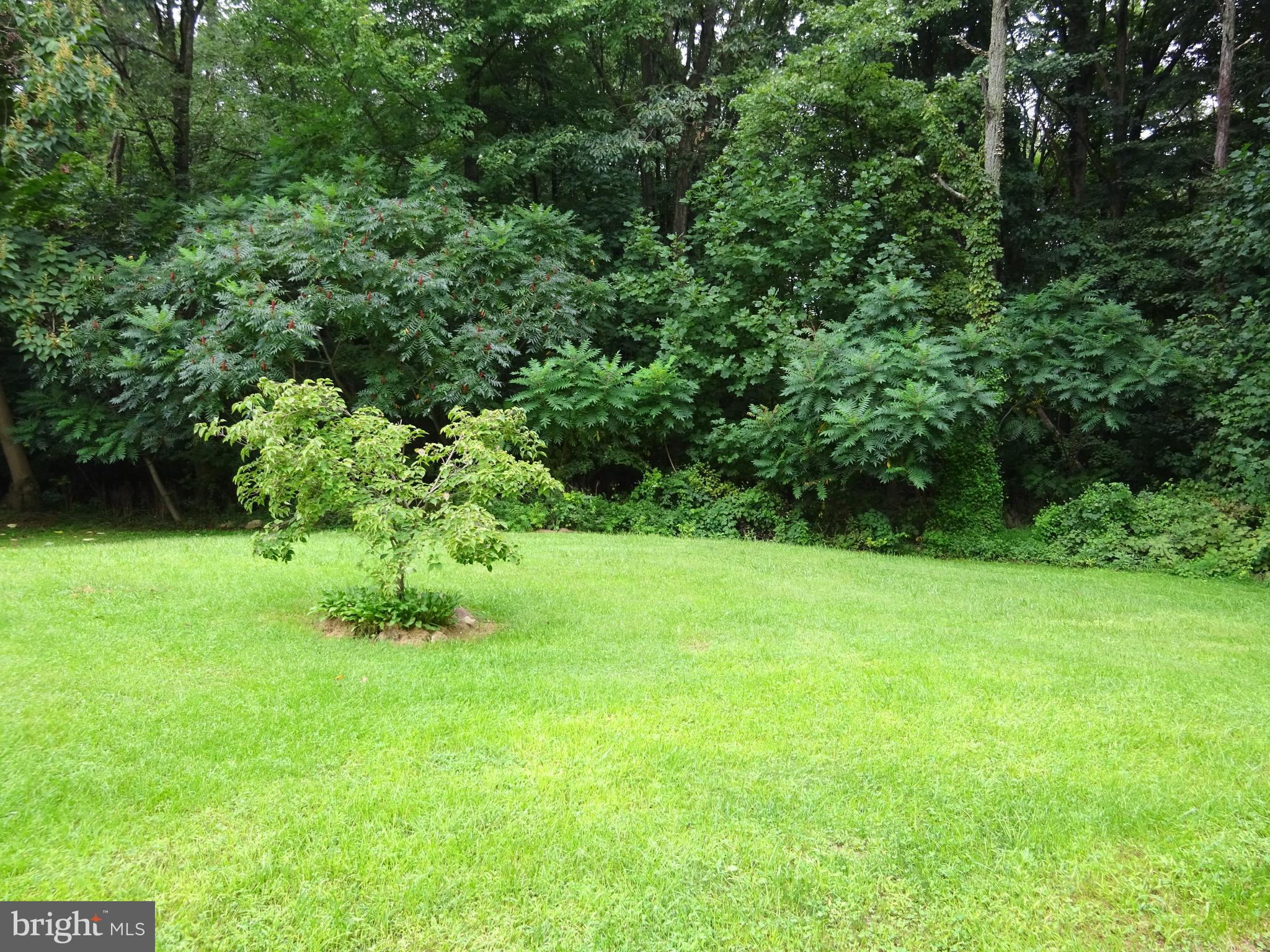 435 Ash Road Morgantown, PA 19543 - Photo 37 of 62 Back Yard
