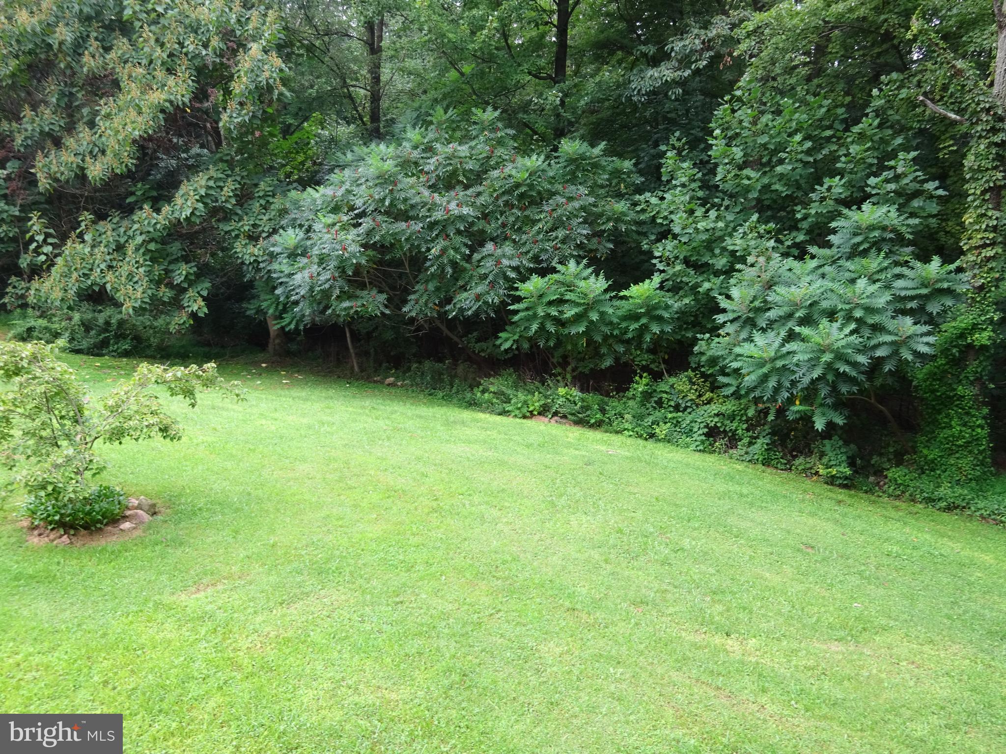 435 Ash Road Morgantown, PA 19543 - Photo 38 of 62 Back Yard