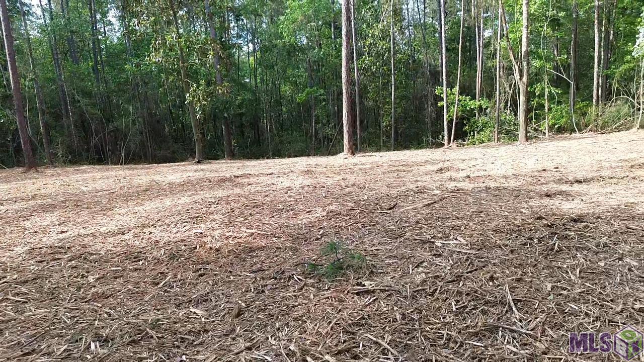83166 Isabel Swamp Road Bush, LA 70431 - Photo 11 of 20