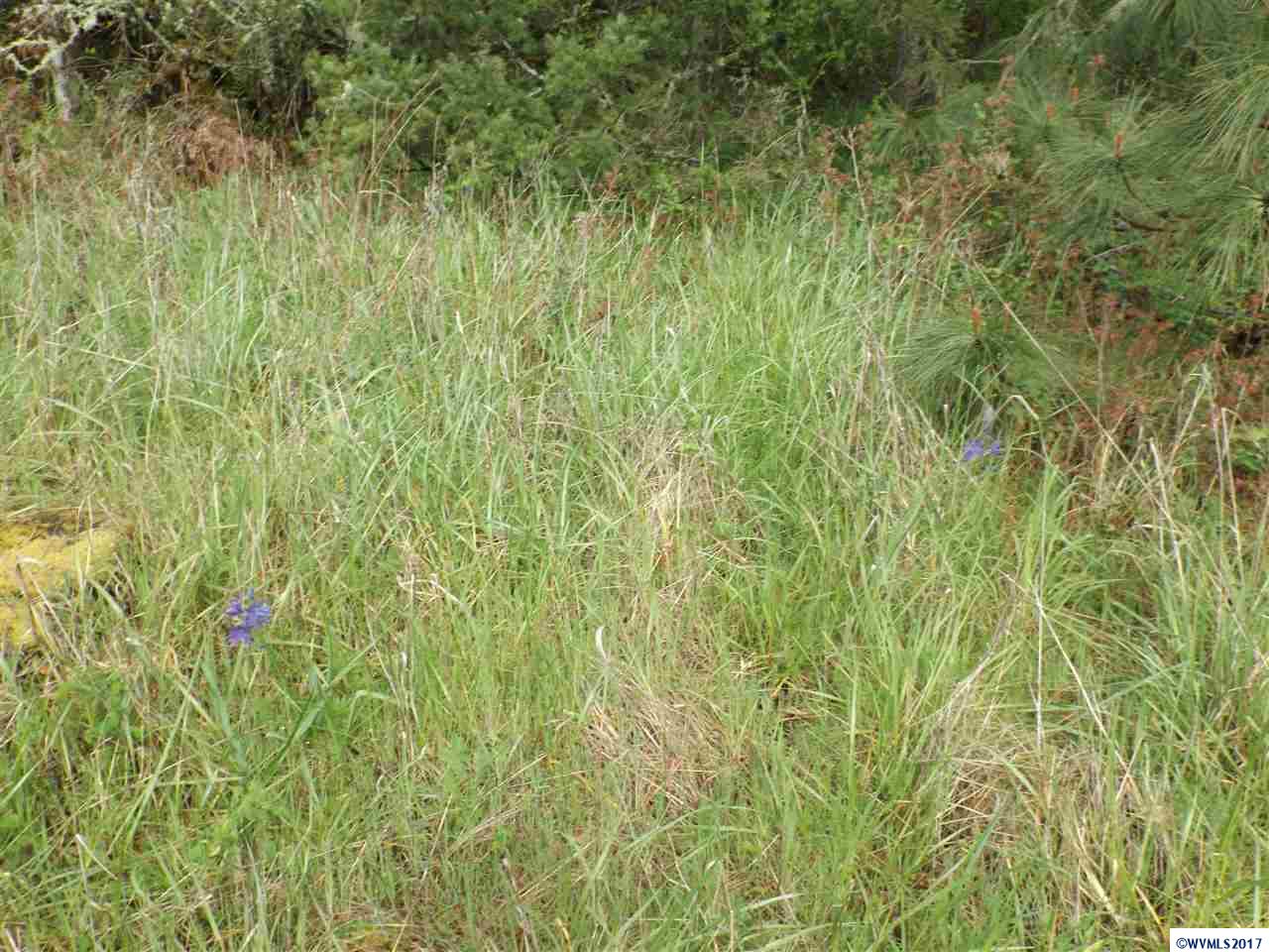 Weldon (lot 209) Road Lebanon, OR 97355 - Photo 10 of 17
