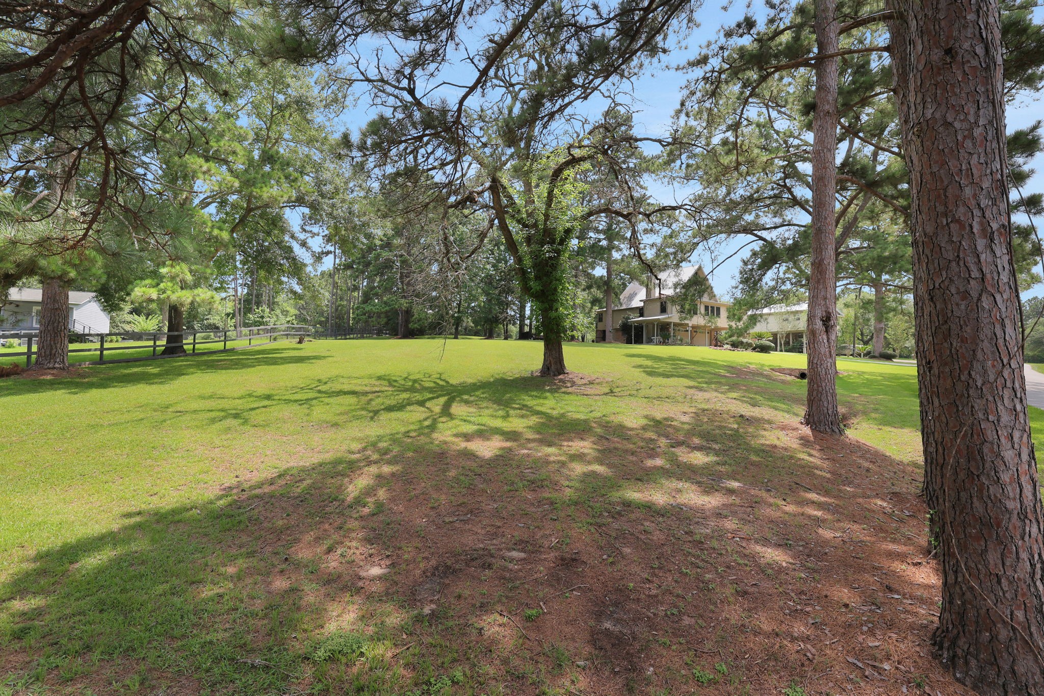 780 Hickory Ridge Drive Coldspring, TX 77331 - Photo 37 of 40 This is a view from lot 260 on Hickory Ridge Dr
