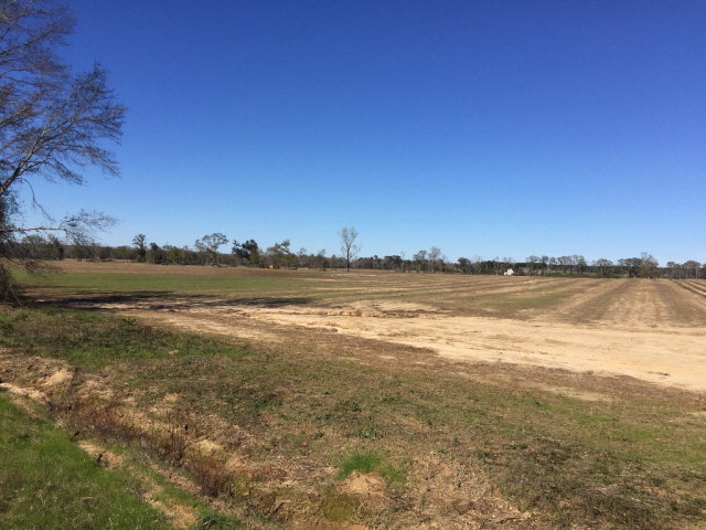 11 Skipper Road Dothan, AL 36301 - Photo 1 of 1