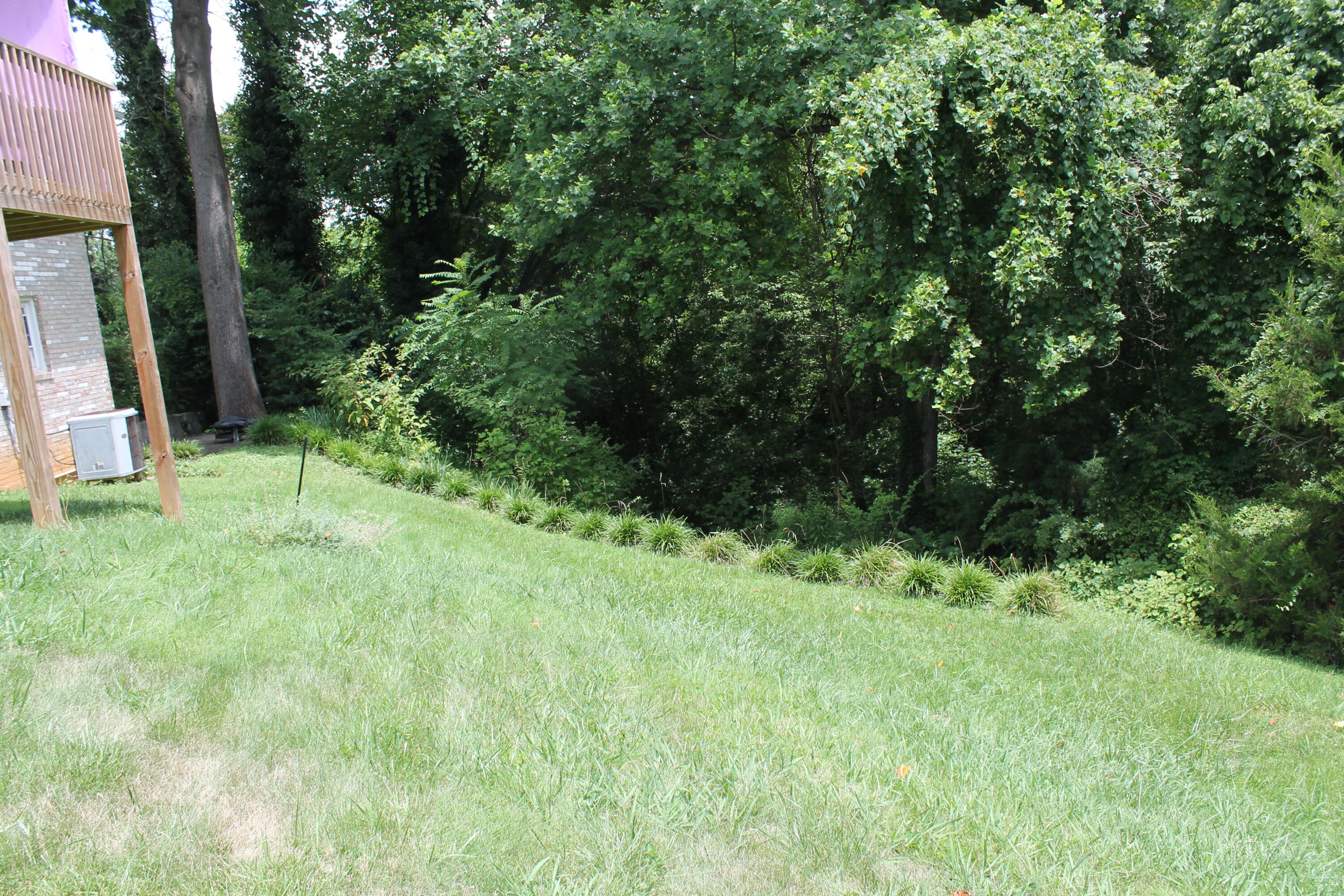 513 Merman Road Kingsport, TN 37663 - Photo 22 of 22 IMG_2430