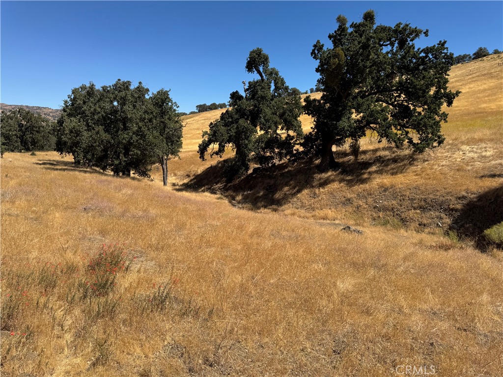 0 Arosa Road Tehachapi, CA 93561 - Photo 7 of 17 a view of a tree