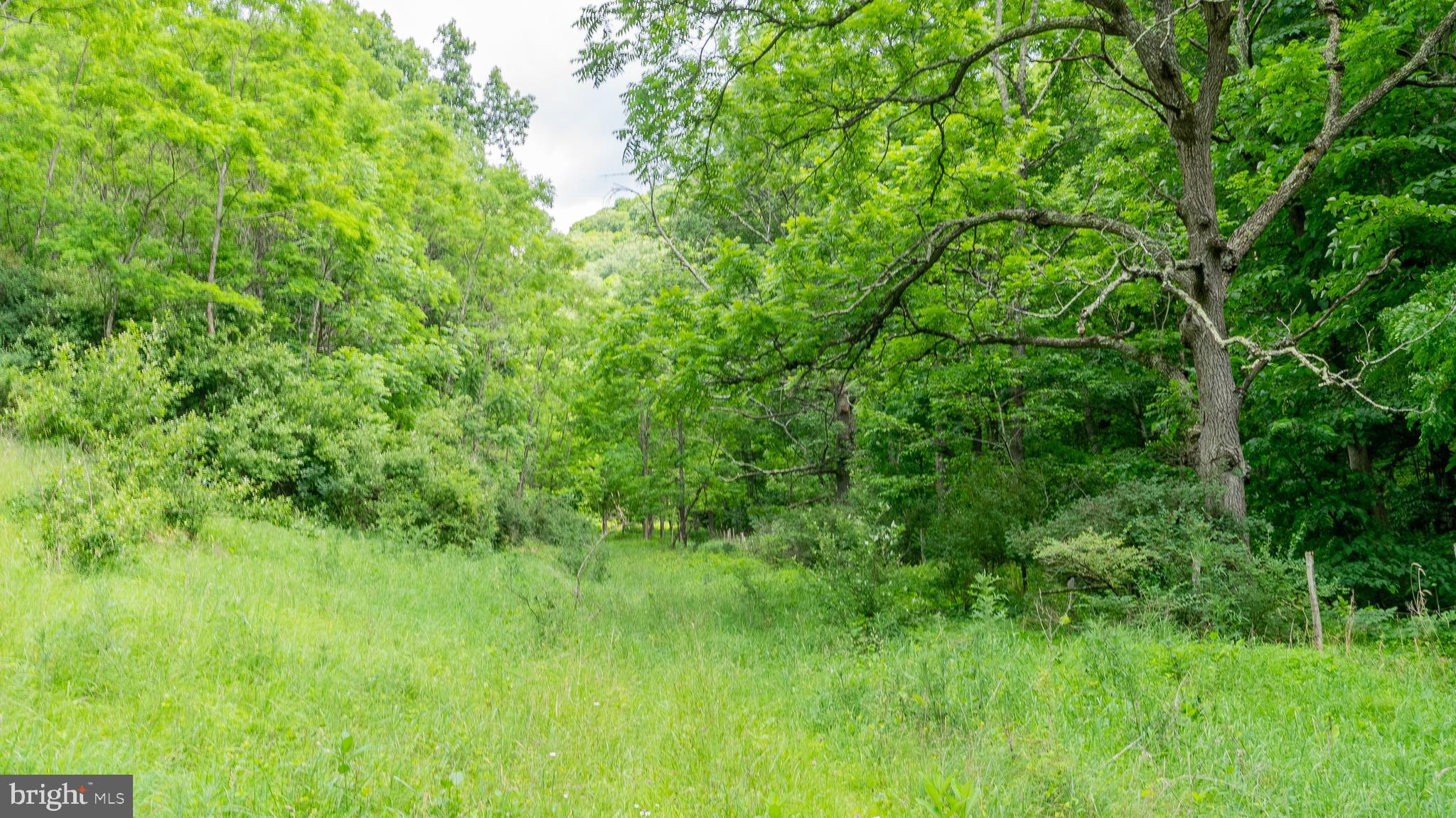 1862 Hawbush Road Circleville, WV 26804 - Photo 28 of 83