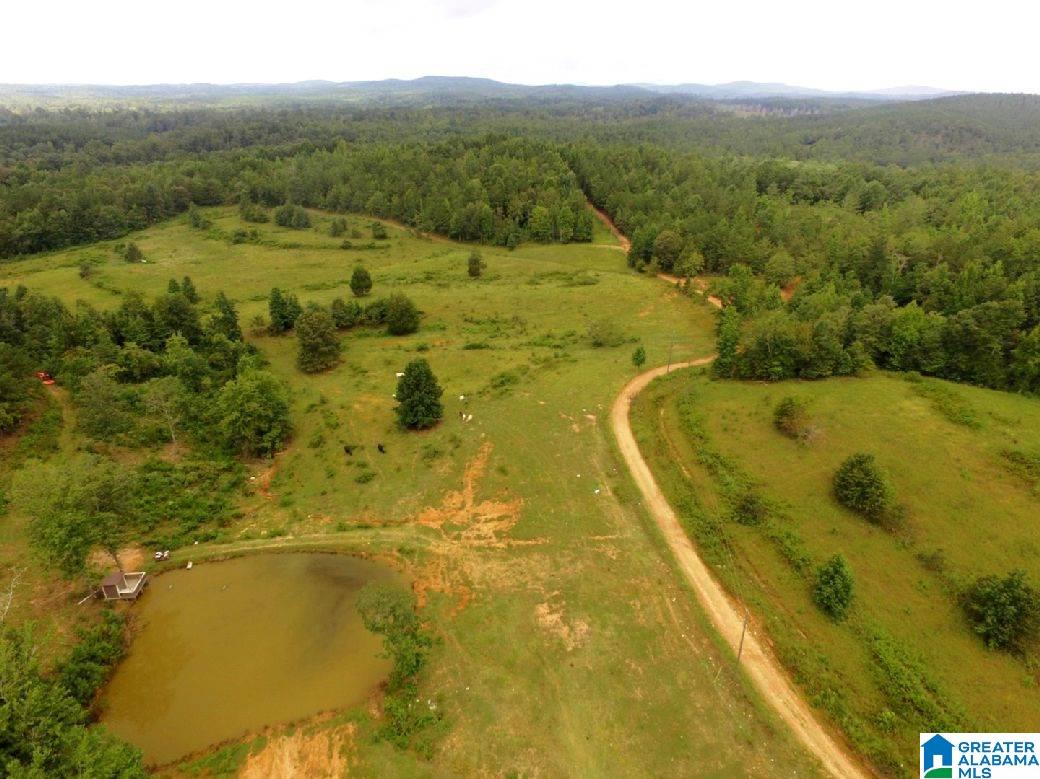 796 Alawashky Road, Unit 46 ACRES Ashland, AL 36251 - Photo 1 of 17
