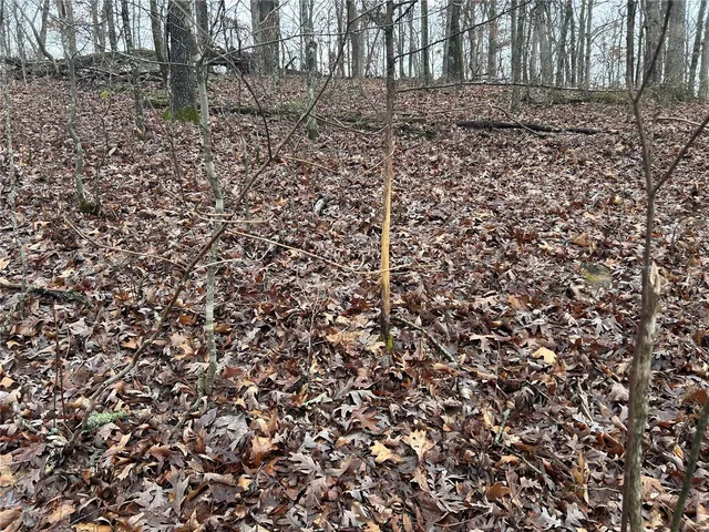 $49,900 | Undisclosed Address, Newburg, MO 65550