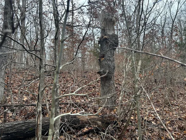 $49,900 | Undisclosed Address, Newburg, MO 65550