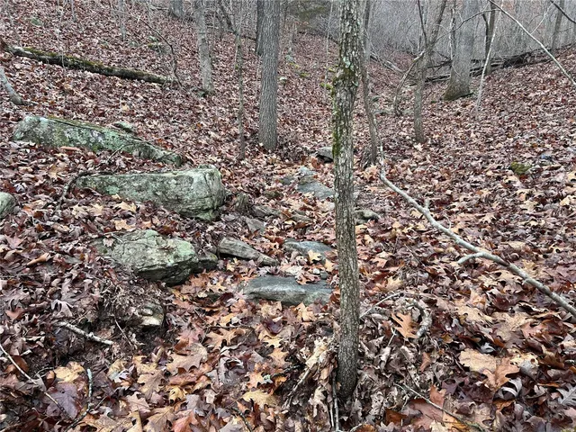 $49,900 | Undisclosed Address, Newburg, MO 65550