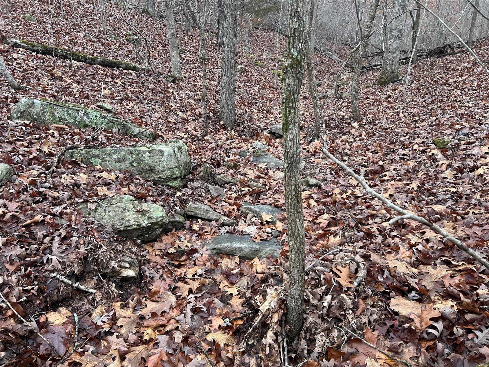 Undisclosed Address Newburg, MO 65550 - Photo 5 of 7