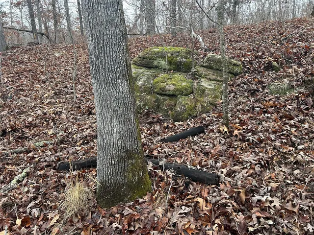 $49,900 | Undisclosed Address, Newburg, MO 65550