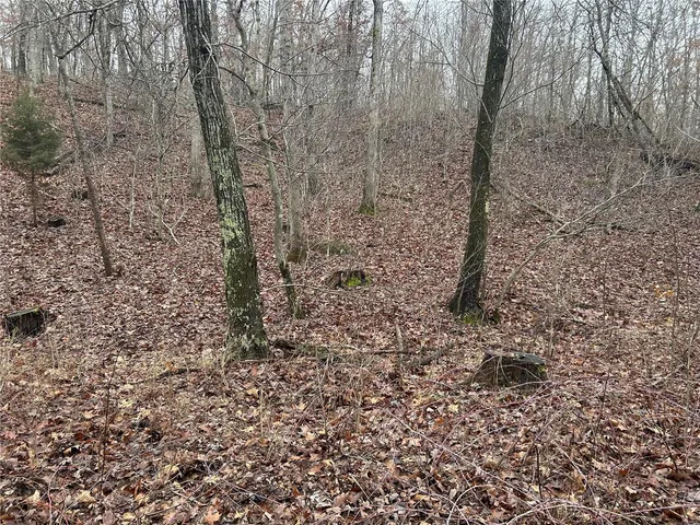 $49,900 | Undisclosed Address, Newburg, MO 65550