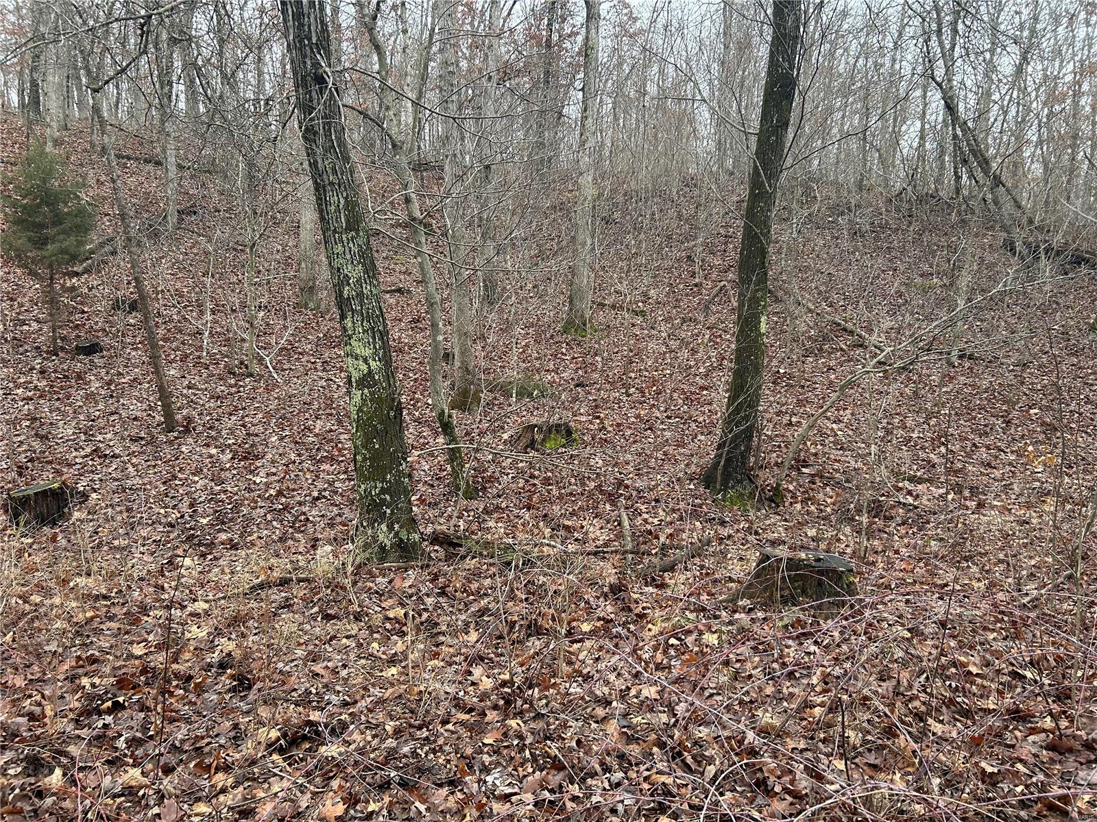 Undisclosed Address Newburg, MO 65550 - Photo 7 of 7