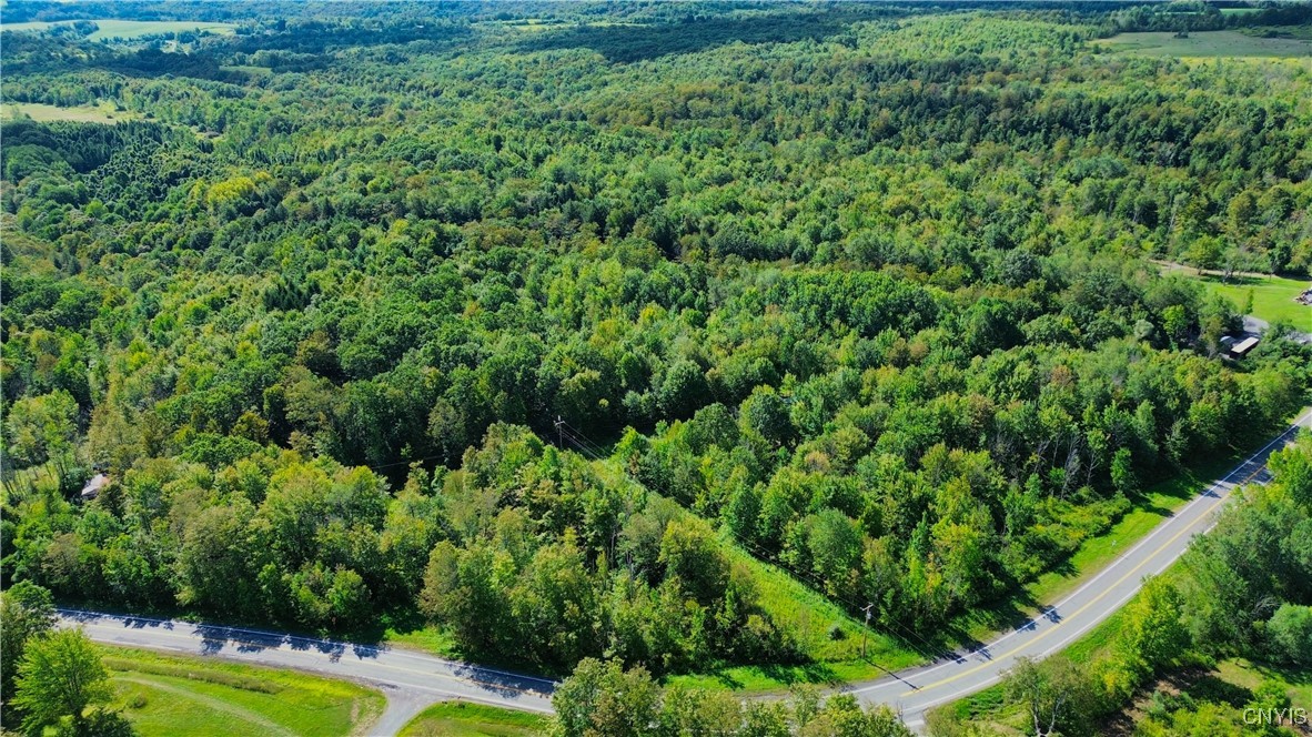 Lot 5-5 Paines Hollow Road Mohawk, NY 13407 - Photo 5 of 8