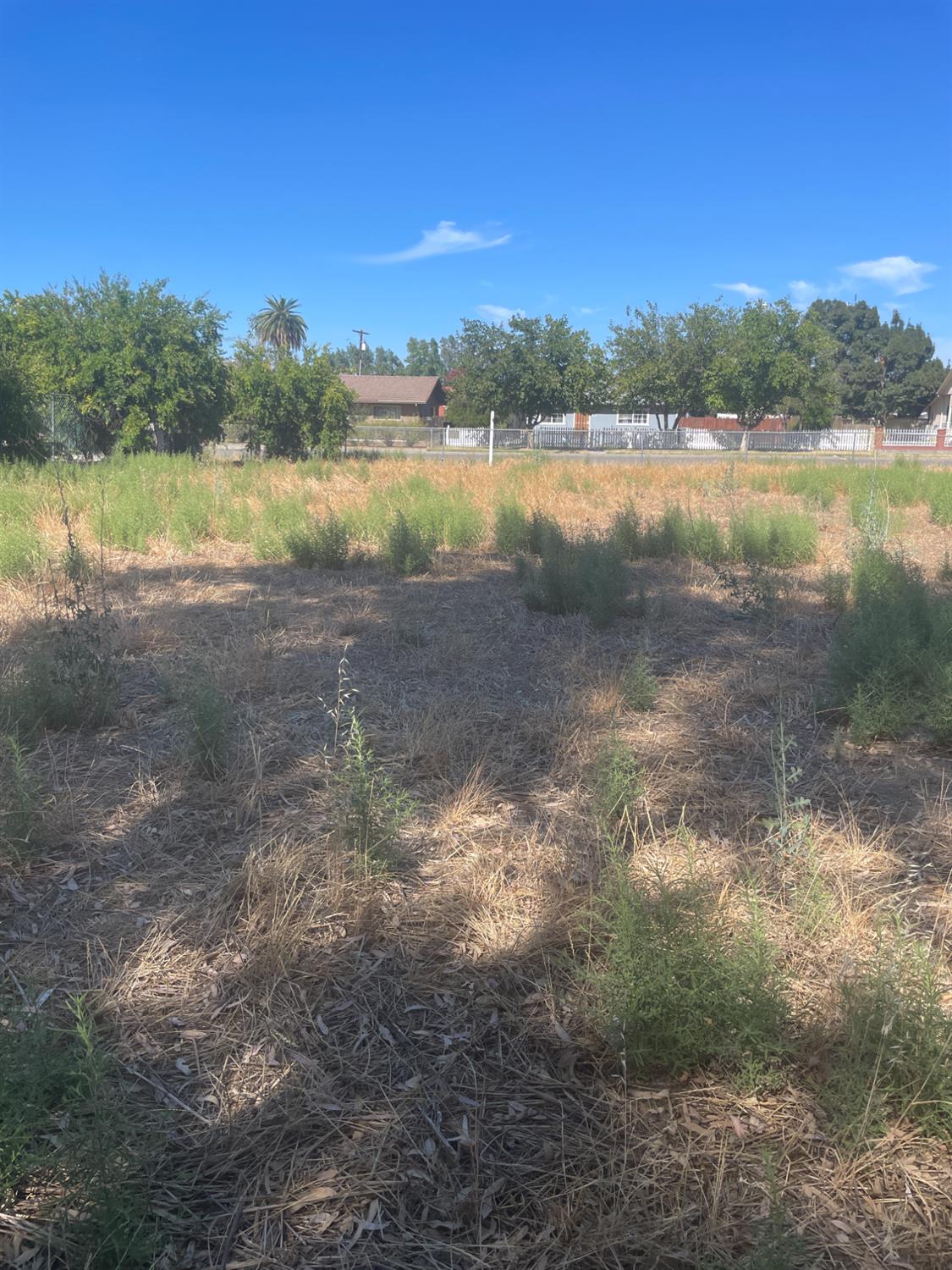 0 9th Street Williams, CA 95987 - Photo 2 of 9