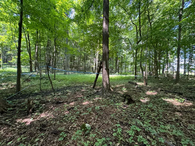 $1 | Lt1-3 North Crawfish Road, Ixonia, WI 53036