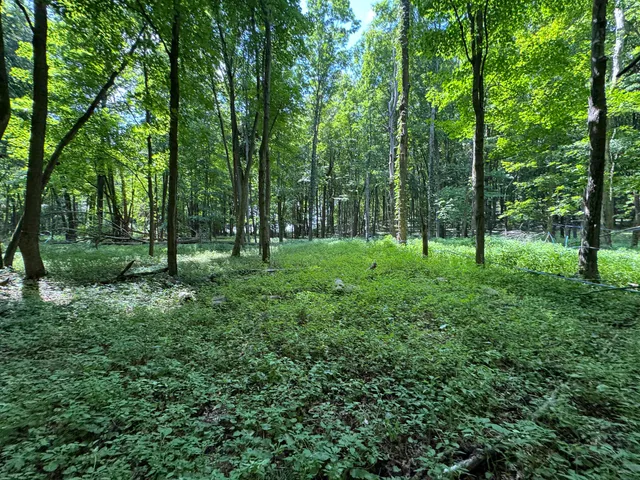 $1 | Lt1-3 North Crawfish Road, Ixonia, WI 53036